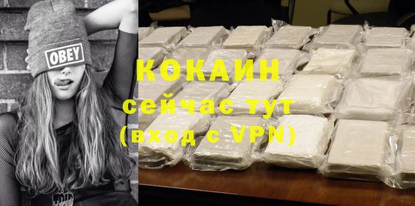 бошки Болотное