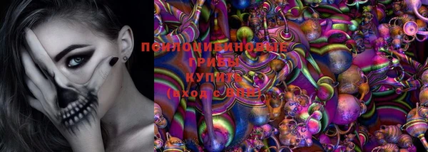 mdpv Болохово