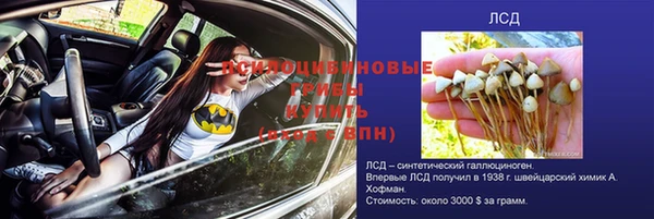 ECSTASY Болхов