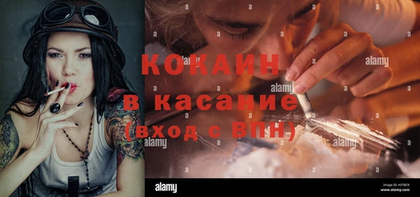 бошки Болотное