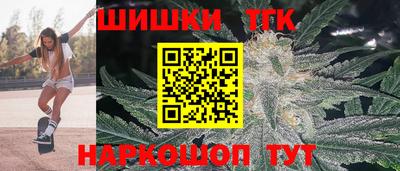 индика Беслан