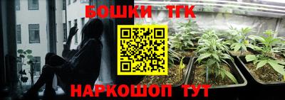 индика Беслан