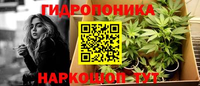 дмт Абакан