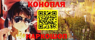 крисы Донской