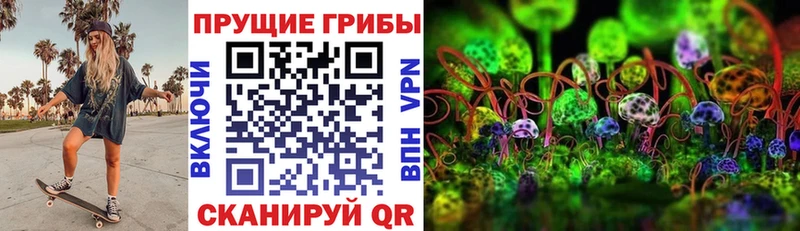 даркнет сайт  Краснокамск  Псилоцибиновые грибы Psilocybine cubensis 