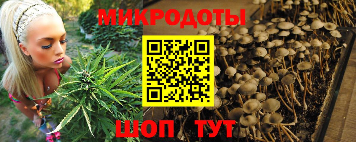 Псилоцибиновые грибы Cubensis  Краснокамск 