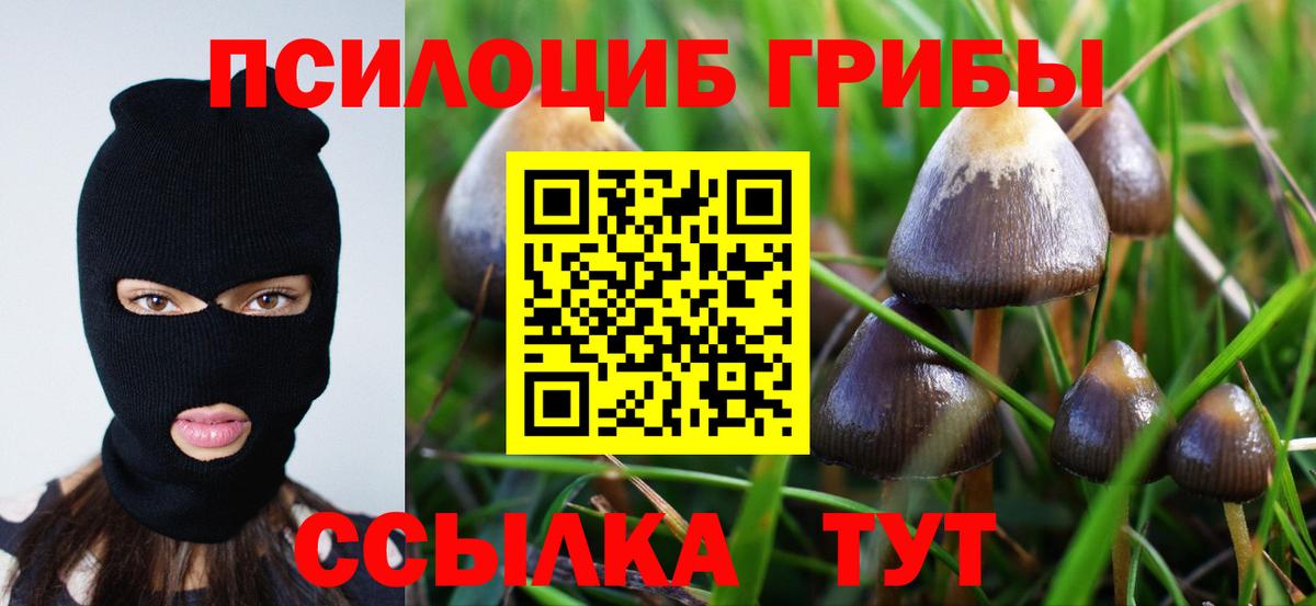Краснокамск  Псилоцибиновые грибы мухоморы  Псилоцибиновые грибы Cubensis  купить закладку  Вход с VPN 